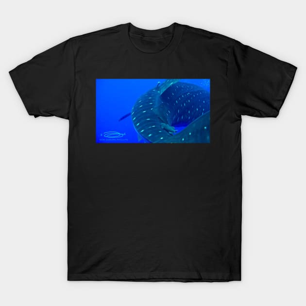 Ride em' Remora! T-Shirt by dumbodancer